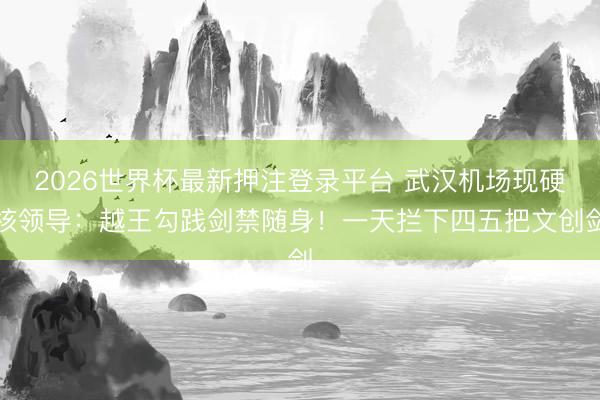 2026世界杯最新押注登录平台 武汉机场现硬核领导:越王勾践剑禁随身!一天拦下四五把文创剑