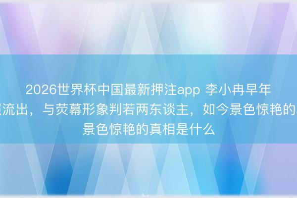 2026世界杯中国最新押注app 李小冉早年无滤镜旧照流出,与荧幕形象判若两东谈主,如今景色惊艳的真相是什么