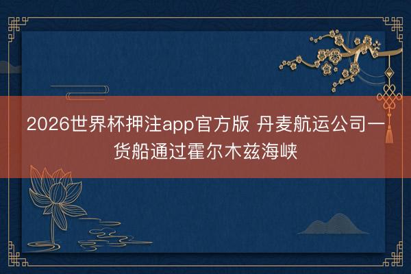2026世界杯押注app官方版 丹麦航运公司一货船通过霍尔木兹海峡
