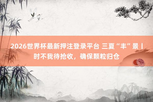 2026世界杯最新押注登录平台 三夏“丰”景丨时不我待抢收，确保颗粒归仓